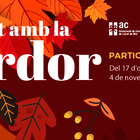 INSPIRA'T AMB LA TARDOR